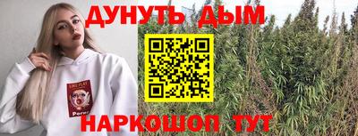 стаф Новокубанск