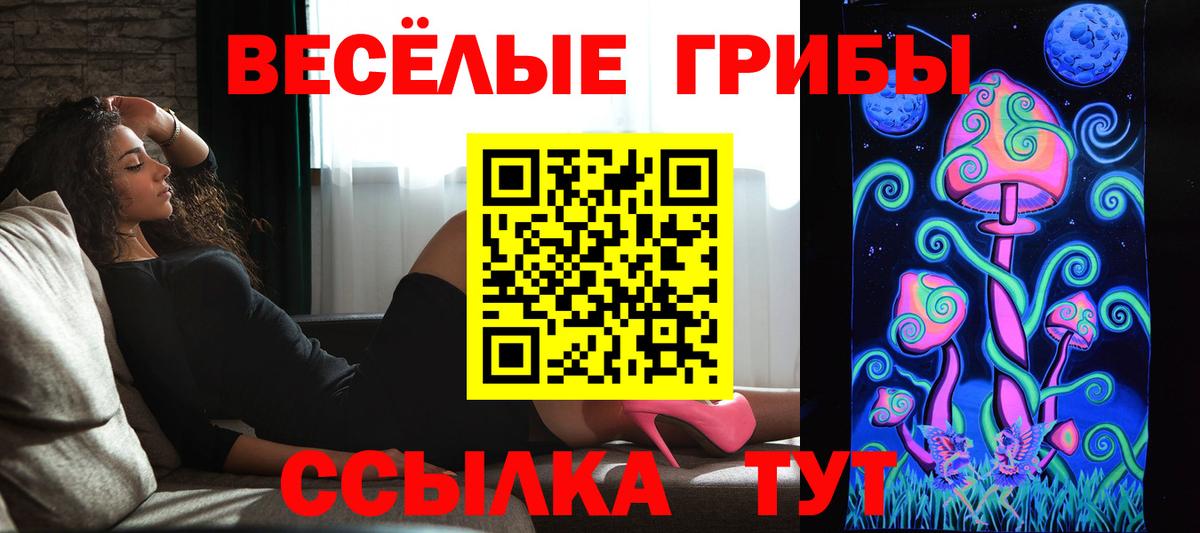 Галлюциногенные грибы Cubensis Славгород