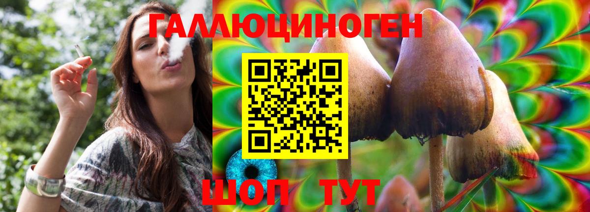 Славгород  Галлюциногенные грибы прущие грибы  Вход с VPN 