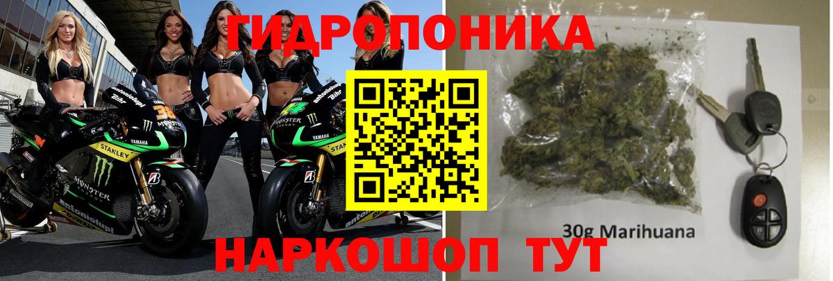 Славгород  Канабис Bruce Banner  Бошки марихуана сатива  Каннабис SATIVA & INDICA  Вход с VPN 