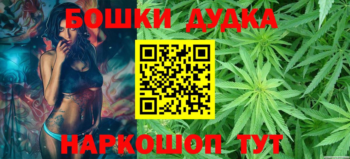 Бошки Шишки гибрид Славгород